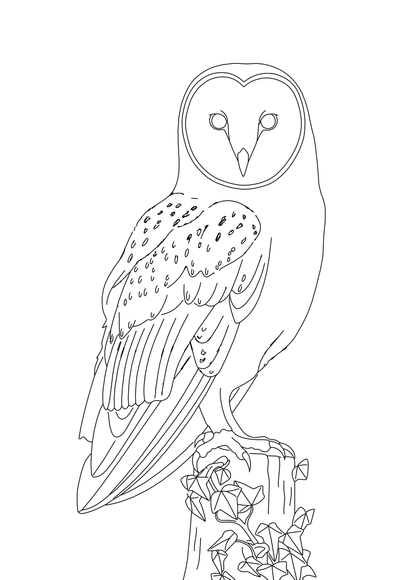 Barn owl vector line drawing, heart-shaped facial disc, layered wing feathers and taloned feet gripping a post with ivy.