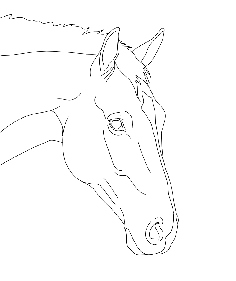 Bay horse head portrait vector line drawing, pricked ears, expressive eye, narrow blaze and arched neck profile.