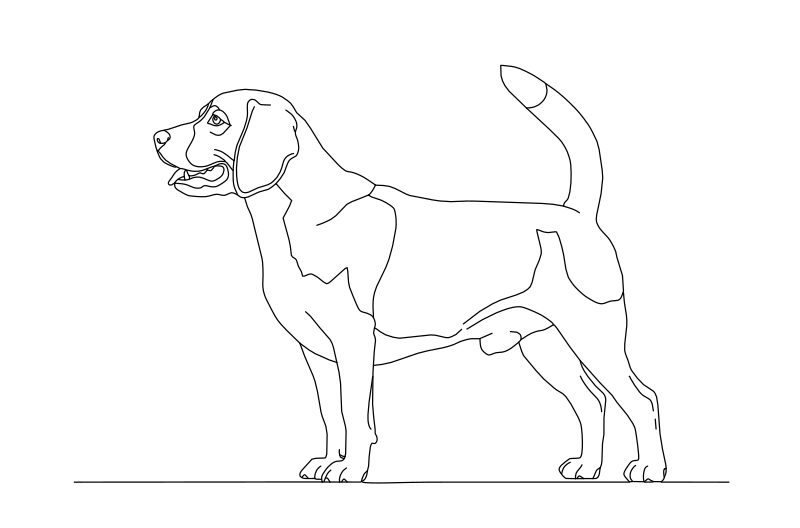 Beagle in profile vector line drawing, long dropped ears, raised tail and compact standing body pose.