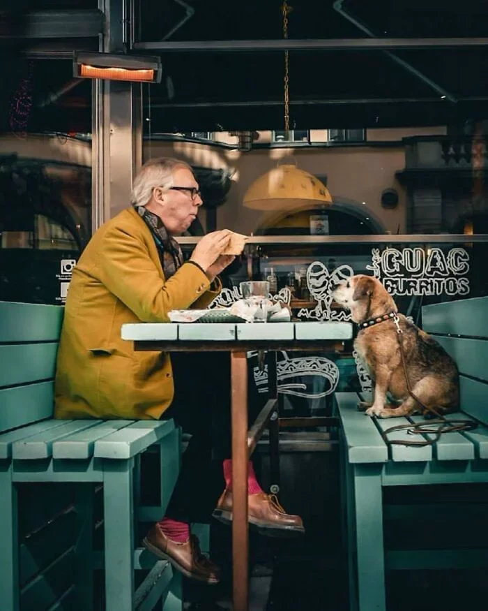 Original photo — Elderly Man Dining with Dog