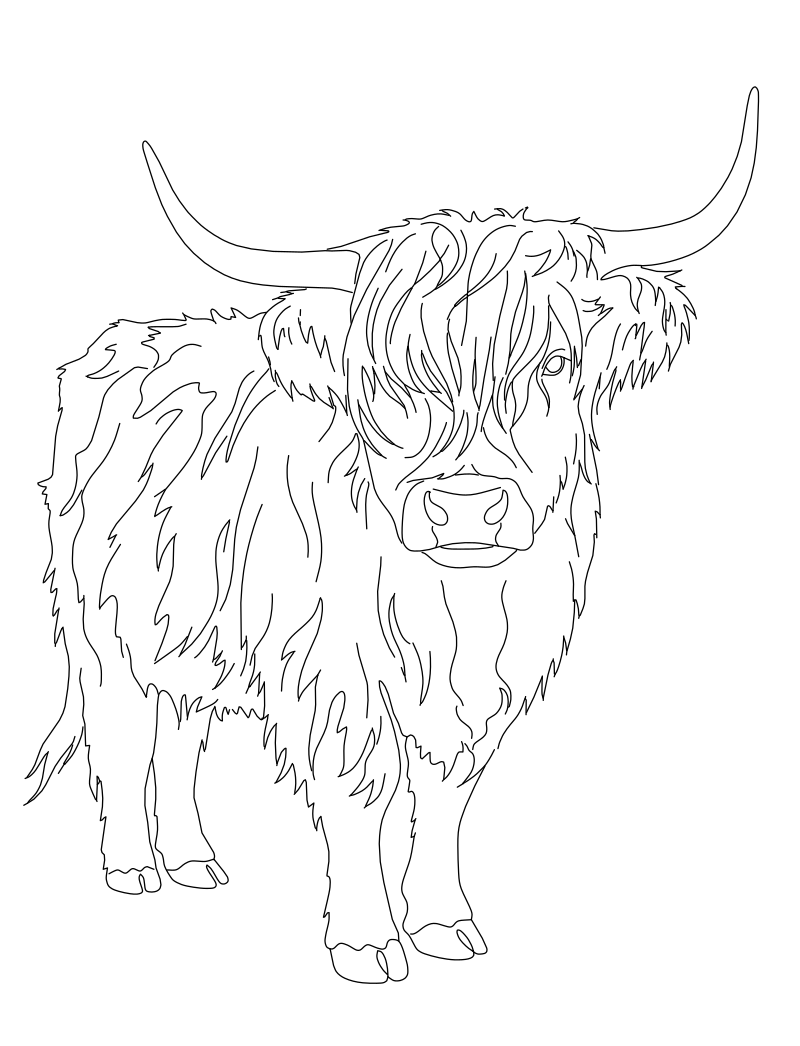 Highland cow vector line drawing, wide-swept horns, layered shaggy coat and forward-facing fringe over the face.