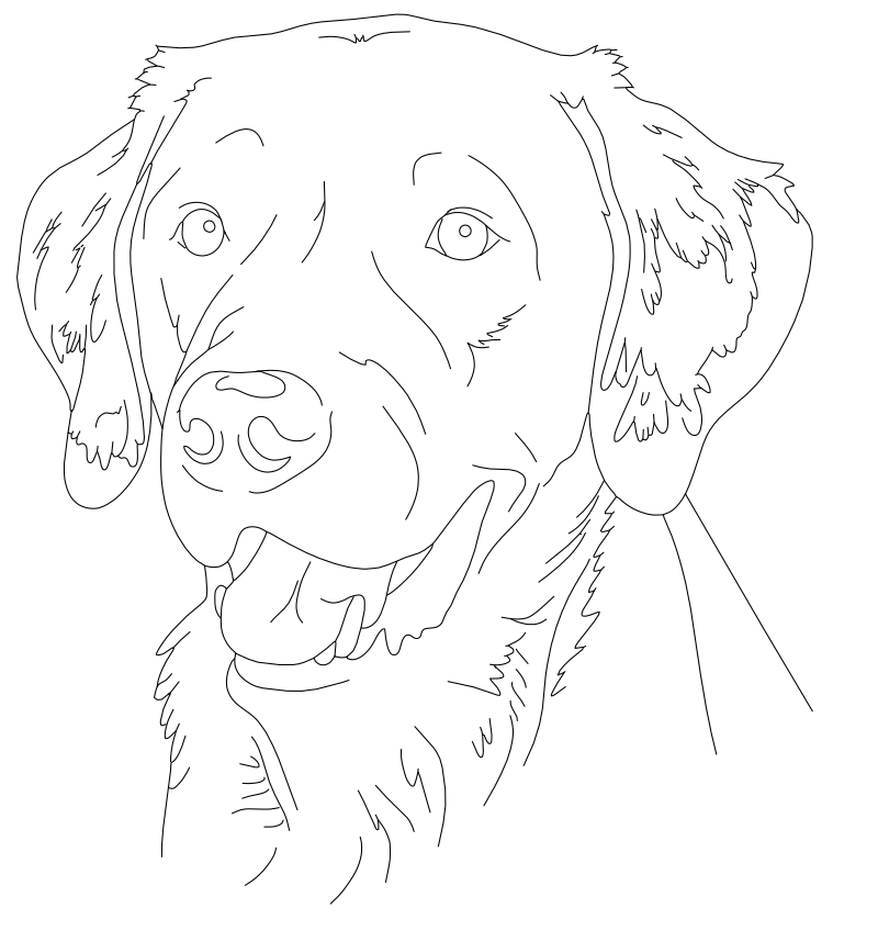 Labrador Retriever portrait vector line drawing, broad muzzle, floppy ears and fur texture lines at the chest.