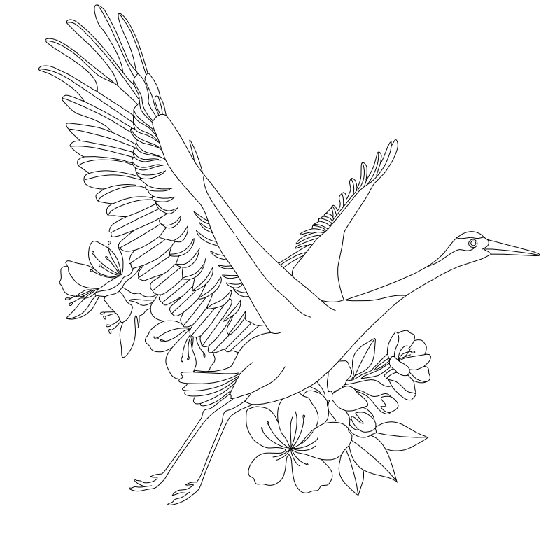 Red-crowned crane vector line drawing, wings fully spread in flight, extended legs and cherry blossom branch with open petals.
