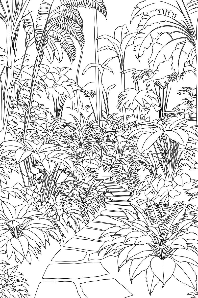 Vector line drawing of a tropical fern garden path, showing a winding flagstone walkway flanked by layered ferns, broad-leaf plants and tall canopy fronds.