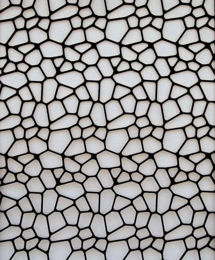 Original photo — Voronoi Stone Mosaic Pattern