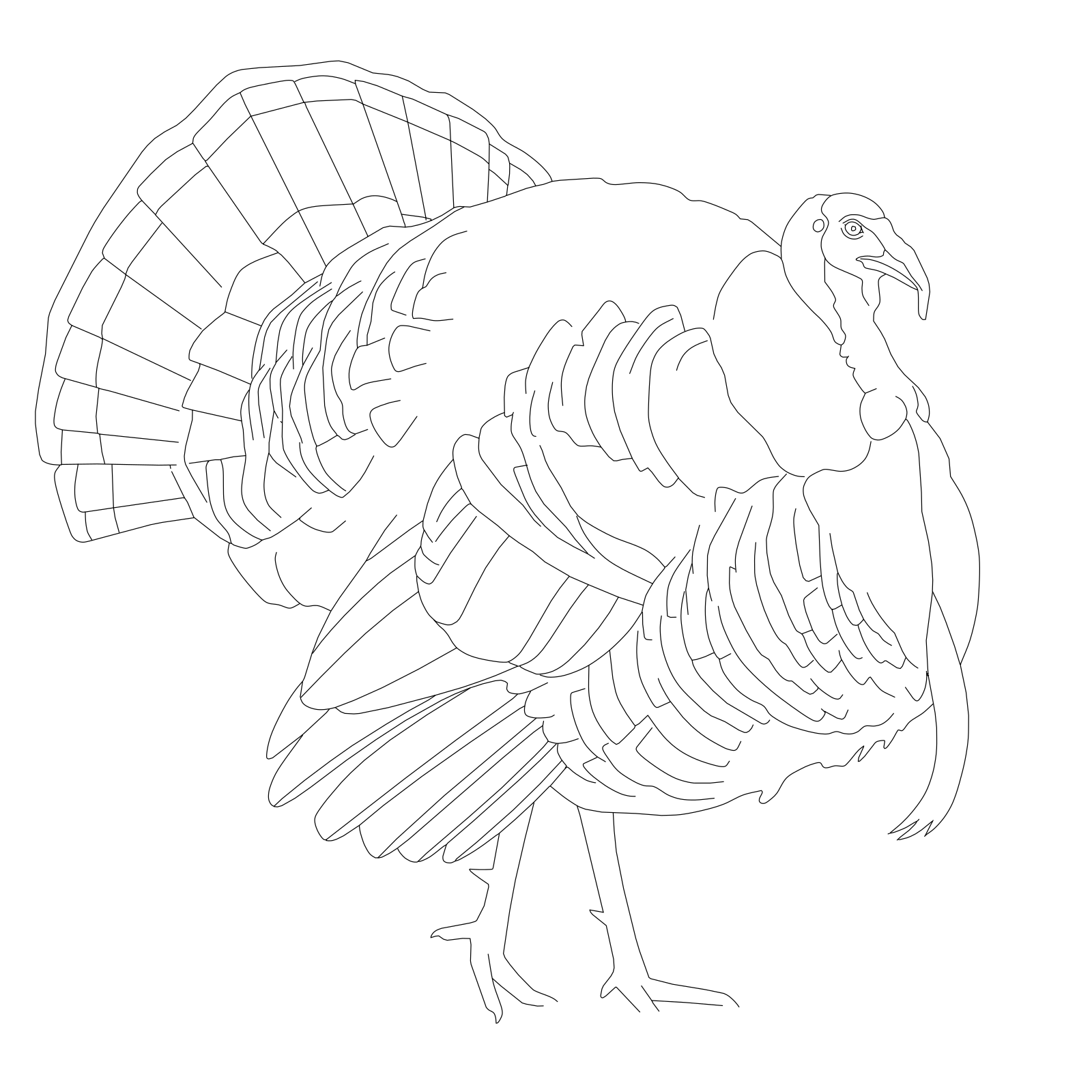 Free Wild Turkey Tom DXF & SVG | PhotoCAD