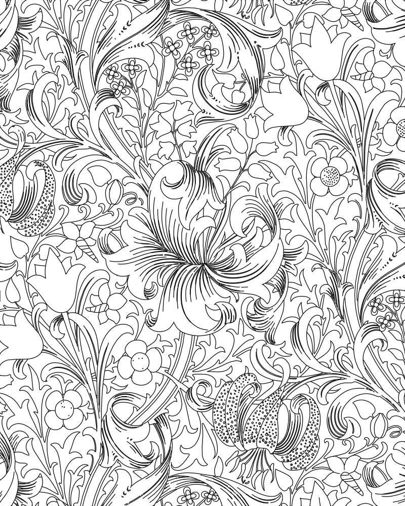 William Morris Golden Lily vector line drawing, central spider lily bloom, acanthus scrollwork, tulip heads and daisy flowers.